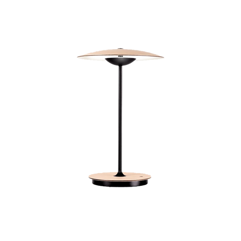 Portable Metal and Wood Table Lamp